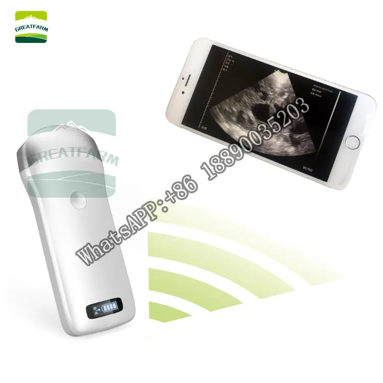 Vezeték nélküli Állat-egészségügyi Ultrahangos Hordozható Szkenner Terhességi Teszt Disznó, Juh Állategészségügyi Ultrahang Gép Kép 0
